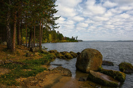 the coast / ***