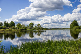 At the pond / ***