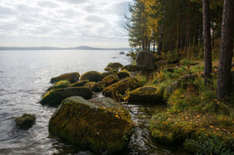 Rocky shore / ***