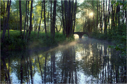 Morning in the park / ***