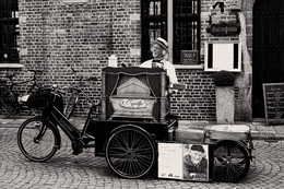 Organ grinder / ***