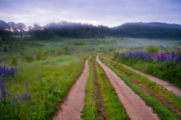 Let's hit the road / ***