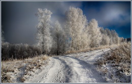 On the roads of winter / ***