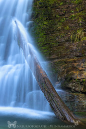 Tauglfall / Ein kleiner Wasserfall in der Taugl