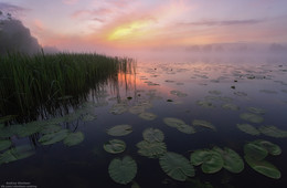 Early morning. / ***