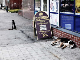 Siesta / 2017-06-13-46-C00-038(80)