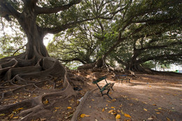 &nbsp; / [img]http://s018.radikal.ru/i524/1706/61/3d5e912ff5ff.jpg[/img]

[img]http://s009.radikal.ru/i307/1706/c1/15b67692f5b5.jpg[/img]

[img]http://s009.radikal.ru/i308/1706/bf/f467ab8d4a23.jpg[/img]

[img]http://s11.radikal.ru/i183/1706/cb/3ca9fb516de7.jpg[/img]


[img]http://s48.radikal.ru/i122/1706/94/9ffdfc257d89.jpg[/img]