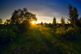 The June evening / ***