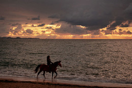 Evening at Sea / ***