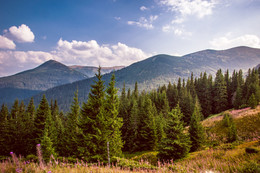 Carpathians / ***