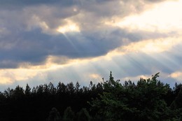 After the rain / &quot; &quot; &quot;