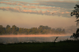 Morning colors gentle light / ***