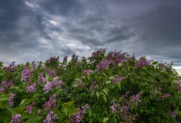 Bad weather / ***