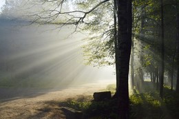 In the old park / ***