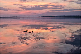 Together for Life / ***