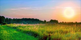 May there always be sunshine / ***