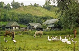 Rustic morning / ***