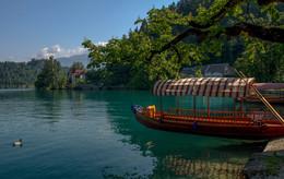 Lake Bled / ***
