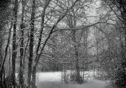 Snowfall / ***