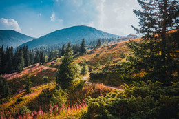 Carpathians / ***