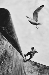 Flight / Venice Beach, LA, CA, USA