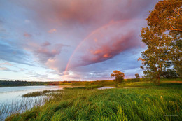 After the rain / ***