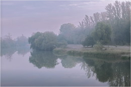 Fog over the river / ***