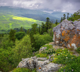 Caucasus / ***