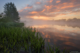 Foggy morning. / ***