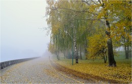 mist day / ***