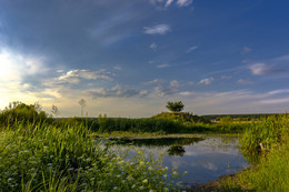 On the hill / ***