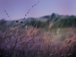 Midnight Dunes / ***