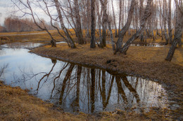 Spring (2) / ***