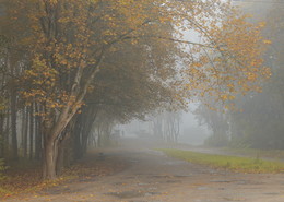 Misty Morning, morning sedoe ... / ***