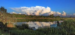 Storm Front / ***