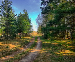 Forest Road / ***