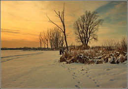 Winter Sunset / ***