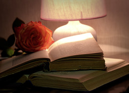 good evening ... / ***