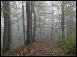 Morning in the mountains / ***