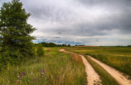 Native places / ***