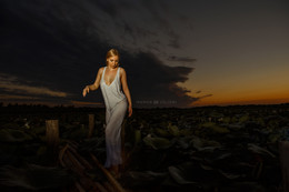 Sunset / ***