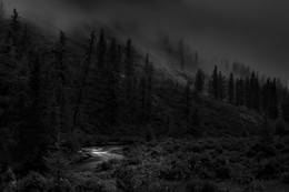 night fog / ***
