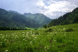 Altai Mountains / ***