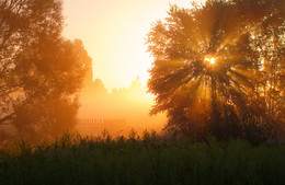 Morning in the village / ***