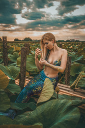 Mermaid / ***