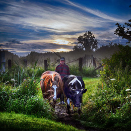 Morning in the village / Utro v derevne