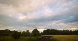 Field road / ***