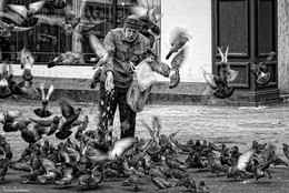 Love and pigeons / ***