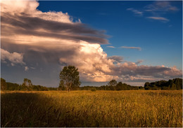 Evening sky / ***