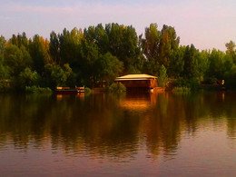 La Cabaña en el Río / ***